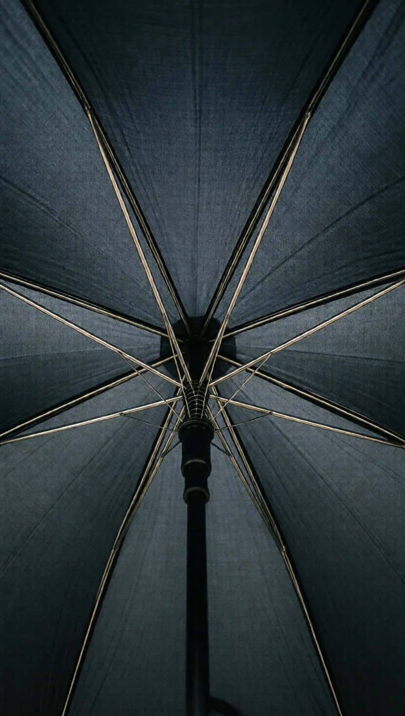 Modern umbrella ribs began as corset steel