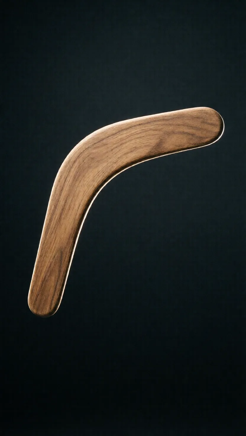 A boomerang still returns in space